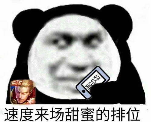  芜湖钢丝球太快乐了