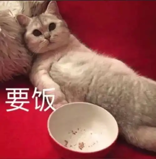  近期沙雕图
