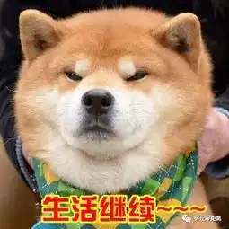  宿迁32岁花臂男看到警车就跑撒腿狂奔早点摊都不要了