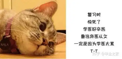  进县医院都需要研究生学历唉,学医真是读研才有出路吗