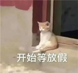  南海上台风胚胎在发展,今年首台要来了吗南方降温如换季