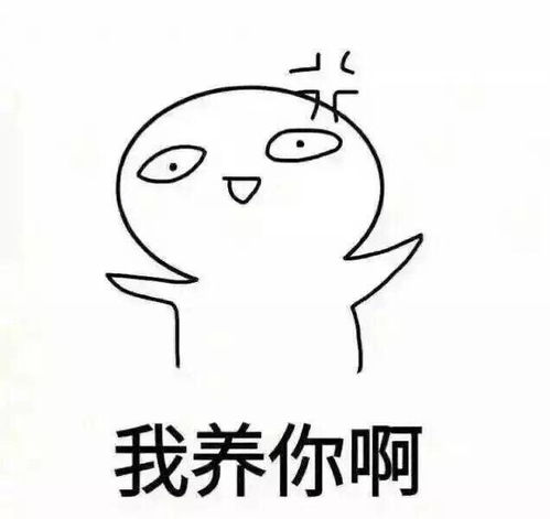  最新斗图表情包大全,速速收藏