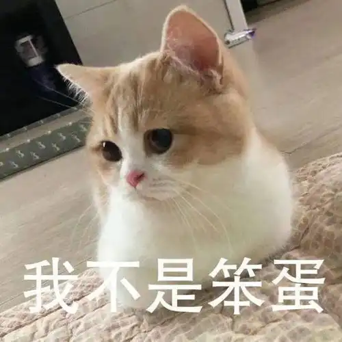 表情包你觉得你很幽默