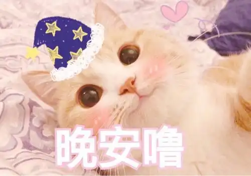  晚安表情包,沙雕型和可爱型你喜欢用哪种