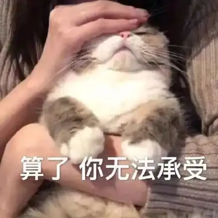  说说变脸姐妹团白月光的故事换头上位,左右逢源,包养小狼狗