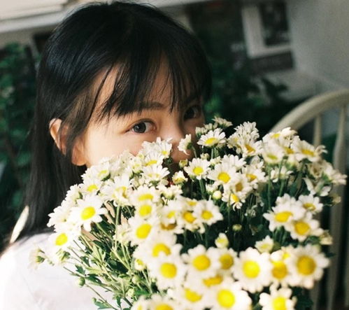  十二生肖职场晋升攻略