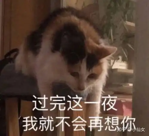 不客气表情包不可描述