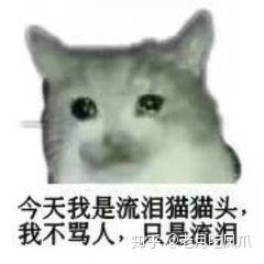  你觉得园医这个cp怎么样