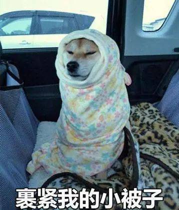  最高10最低7太原春节气温一波三折最崩溃的是