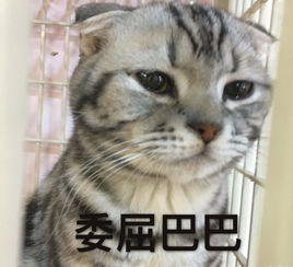  你以为晒被子就能杀死螨虫傻得可爱