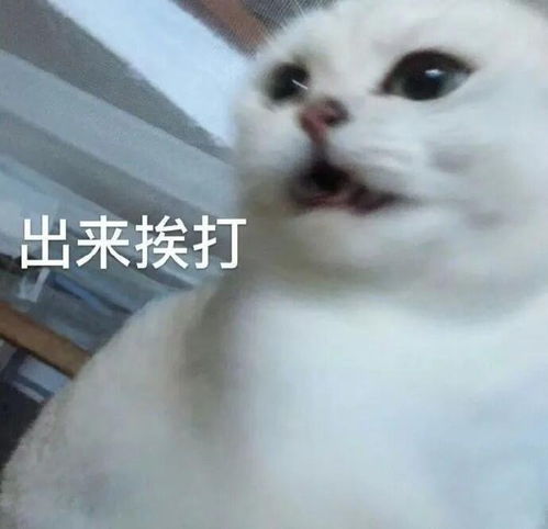  qswlqswl吾夫甚美里女主小姑姑太惨...