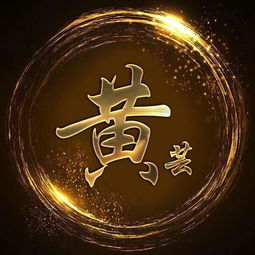  你的头像该换了,18款黑金炫光姓氏壁纸,微信头像