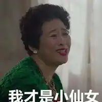  我的前半生罗子君妈妈表情包