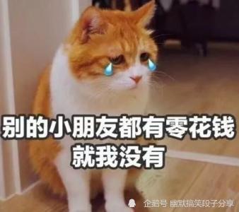  每日一笑今天和老婆吵架,我又输了,主要是输在了气势上