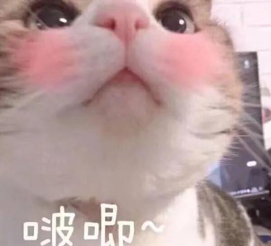  老司机的年度护肤清单这12款被我捧在手心一整年