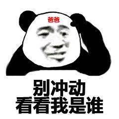  熊猫头表情包i你只是个傻逼,我理你干嘛