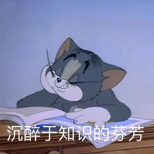  哇欧放假该有的样子