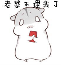  哄张明珠开心
