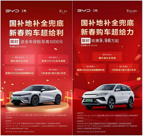  2025年1月,比亚迪宋lev多重豪礼等你来拿,轻松购车不是梦