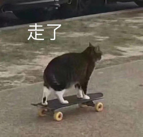 板凳表情包沙雕