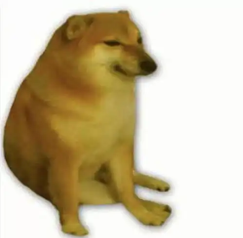  十二生肖表情包