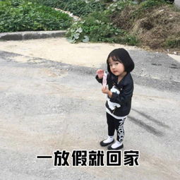 权律二哼表情包女孩子