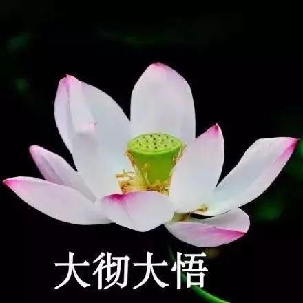  你的年终奖发了吗买买买去