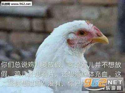  算我求你了给我的鸡儿放几天假表情包