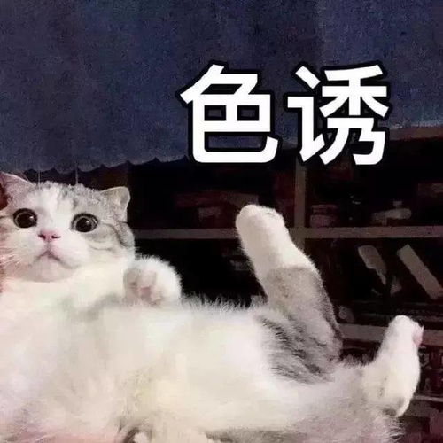  隔着屏幕都能闻到你的臭味