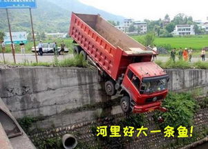  卡车人专属表情包哈哈哈哈哈哈哈哈哈哈哈哈哈哈哈哈哈哈哈