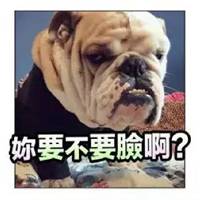  狗亲你一口表情包微信头像图片大全