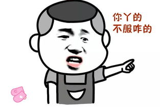  开心一刻新鲜的表情包段子,搞笑来袭,请注意查收