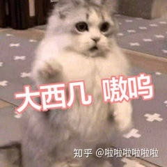  大学里,努力学习的成绩却没有作弊同学的高,对这些以后根本用不到却影响学分绩点和奖学金的科目,该怎么办