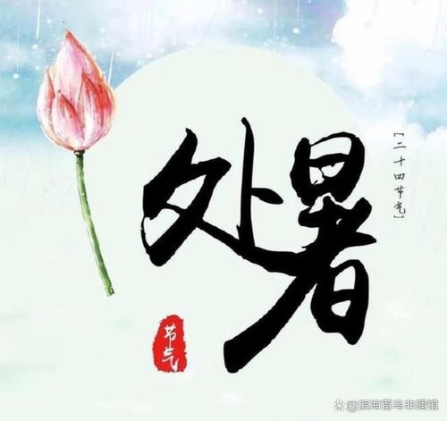  处暑烟薯至,丰收满陈氏