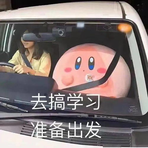  素材55作文的论证到底是怎样的这30个段落给你答案