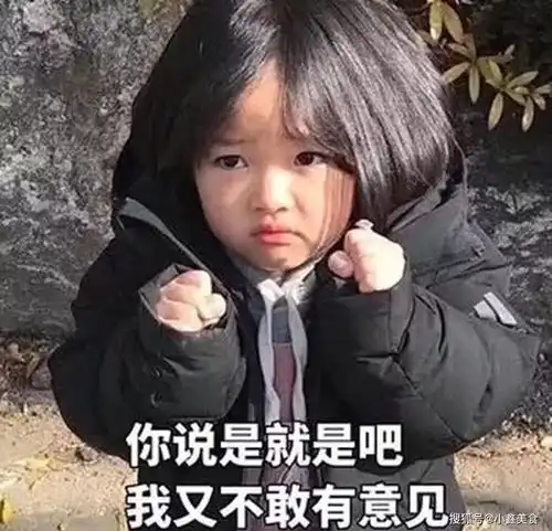 我太难了表情包搞笑版李