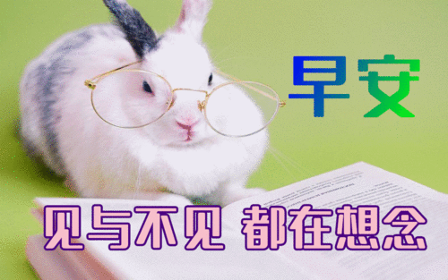 早早上好表情包毒打