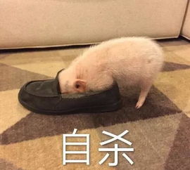 男子服安眠药开瓦斯自杀未遂,醒来点烟冷静引发爆炸被捕