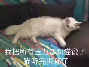  十条笑话老板,这里还有烤驴给我们也上一份