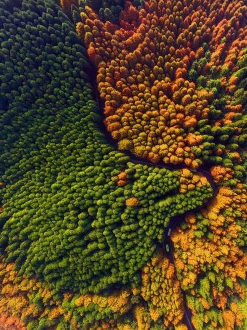  景点
