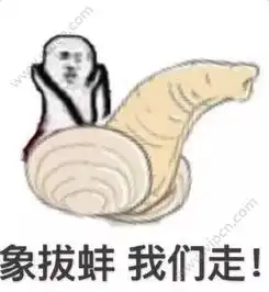  象拔蚌我们走是什么梗象拔蚌我们走是什么意思