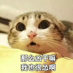  经济今年放水了法规题目竟然这么难不吐不快