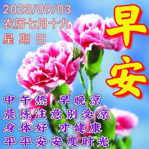  2023年9月3日周日早上好,早安创意祝福图片大全,早安表情包问候祝福语