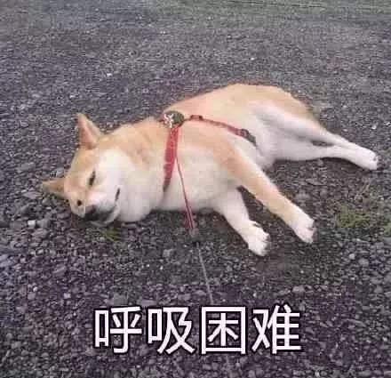  三种运动健身的呼吸方法