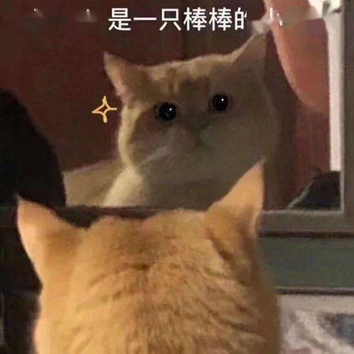  沙雕表情包分享你好,我舔狗