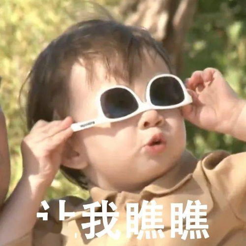  不服现实碰一碰