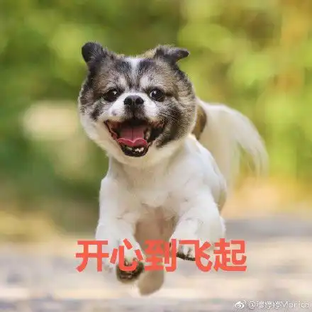  累爬的表情包