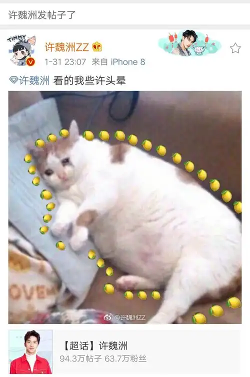  20190131时间线