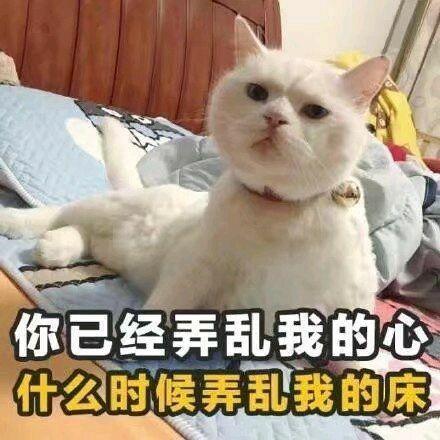 黑眼圈图片表情包搞笑土