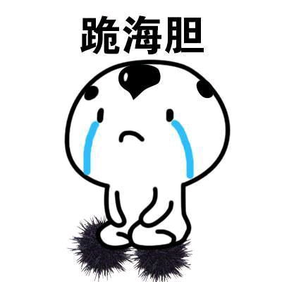  道歉书